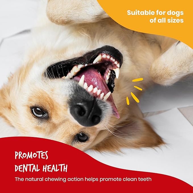 Beefeaters Beefhide 5in Twist with Real Chicken, 10oz – Protein-Rich Dog Treats for Clean Teeth, Ideal for Training & All Dog Sizes