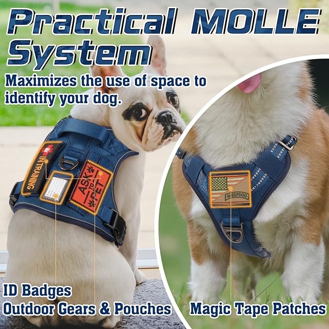 rabbitgoo Tactical Dog Harness Medium Sized Dog, No Pull Military Service Vest with Handle & Molle, Easy Control for Training Walking, Adjustable Reflective Straps, Blue, M
