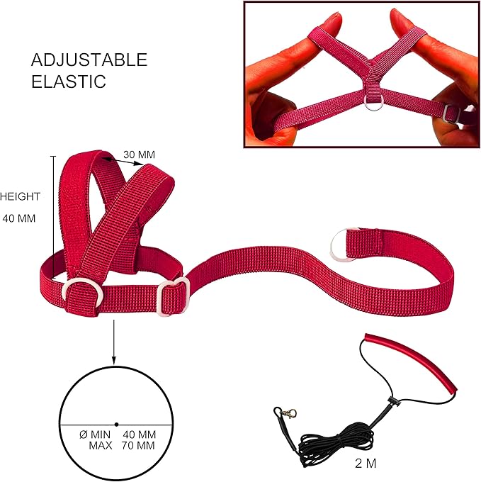 Adjustable Bird Harness with 80 Inch Leash, Outdoor Flying Kit Training Rope for Bird Parrots Cockatiel S Size Weight 70-120 Grams, 2 Pieces