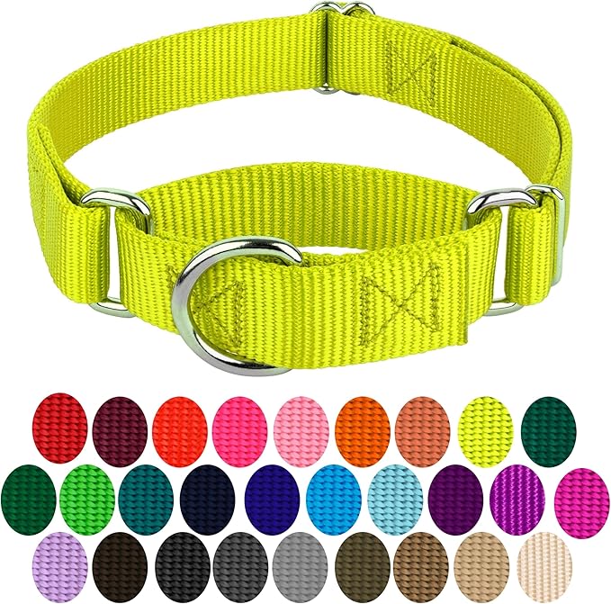 Country Brook Petz Martingale Dog Collar - Heavy-Duty Training Collar with No Buckle - Service Dog Collar for All Pups - Vibrant, Colorful Collection (Hot Yellow, 3/8 Inch, 2XS)