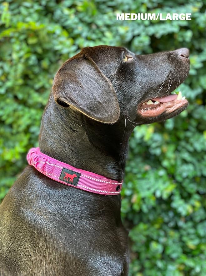 Tuff Pupper Heavy Duty Dog Collar with Handle | Ballistic Nylon Heavy Duty Collar | Padded Reflective Dog Collar with Adjustable Stainless Steel Hardware | Convenient Sizing for All Breeds