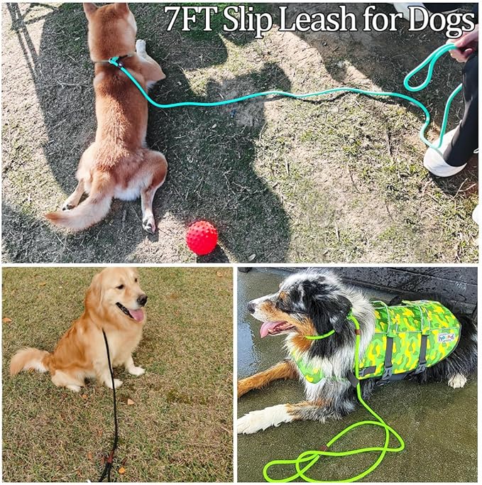 MayPaw Slip Lead Control Leash for Dogs No Pull, 13+ Colors Classic Dog Lead 7FT Pet Slip Leash, 1/4” Rope Leashes for Small Medium Animals (7ft*1/4", Rose red)