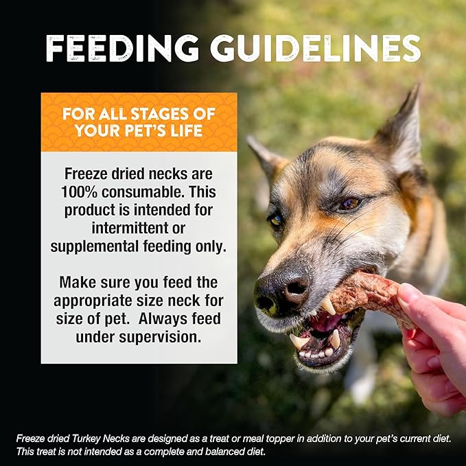 Northwest Naturals Raw Rewards Freeze-Dried Turkey Neck Treats for Dogs and Cats - Bite-Sized Pieces - Healthy, 1 Ingredient, Human Grade Ingredients, All Natural, Made in USA, 6 Oz (Pack of 3)
