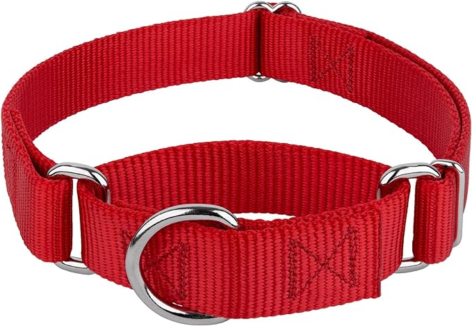 Country Brook Petz Martingale Dog Collar - Heavy-Duty Training Collar with No Buckle - Service Dog Collar for All Pups - Vibrant, Colorful Collection (Red, 3/4 Inch, Small)