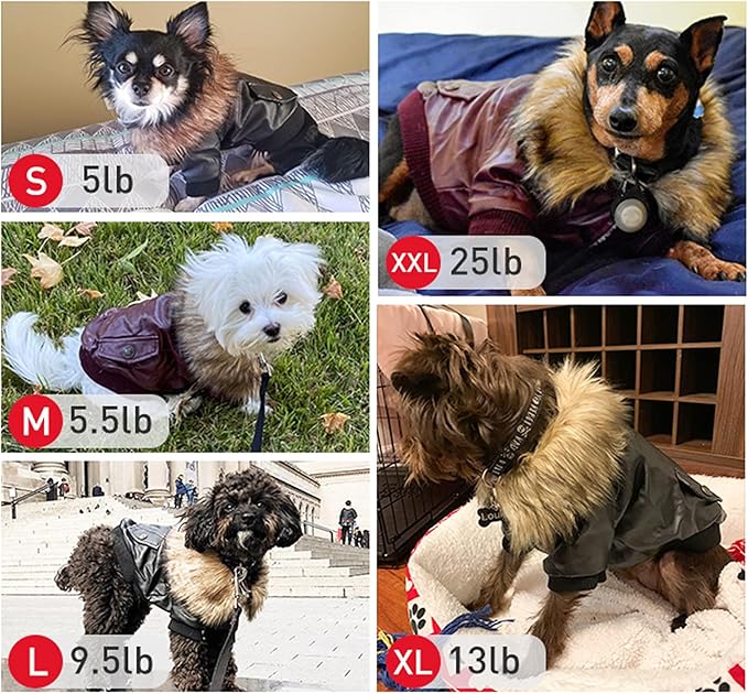 LESYPET Dog Leather Jacket for Small Dogs, Small Dog Jacket Dog Coat Double Layer with Warm Fleece Lined for Small Dogs Puppy Cat, Black XX-Large