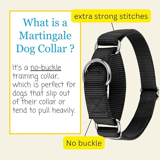 Country Brook Petz Martingale Dog Collar - Heavy-Duty Training Collar with No Buckle - Service Dog Collar for All Pups - Vibrant, Colorful Collection (Black, 5/8 Inch, Extra Small)