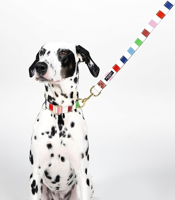 kate spade new york Cute Dog Collar with Gold Metal Details & Plastic Buckle, 15" to 22" Adjustable Dog Collar for Female or Male Dogs, Medium/Large, Adventure Stripe