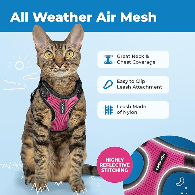 Voyager Escape Proof Cat Harness and Leash set with Reflective Stitching, Neoprene Handle 5ft - Supports Small, Medium and Large Cats, Kittens for walking by Best Pet Supplies - Black Trim-Fuchsia, XS
