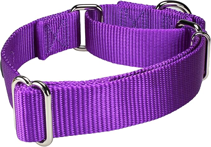 Mikivery Martingale Dog Collar Nylon Adjustable and Safety Training Purple Comfortable Metal Buckle Pet Collars for Small Medium and Large Dogs