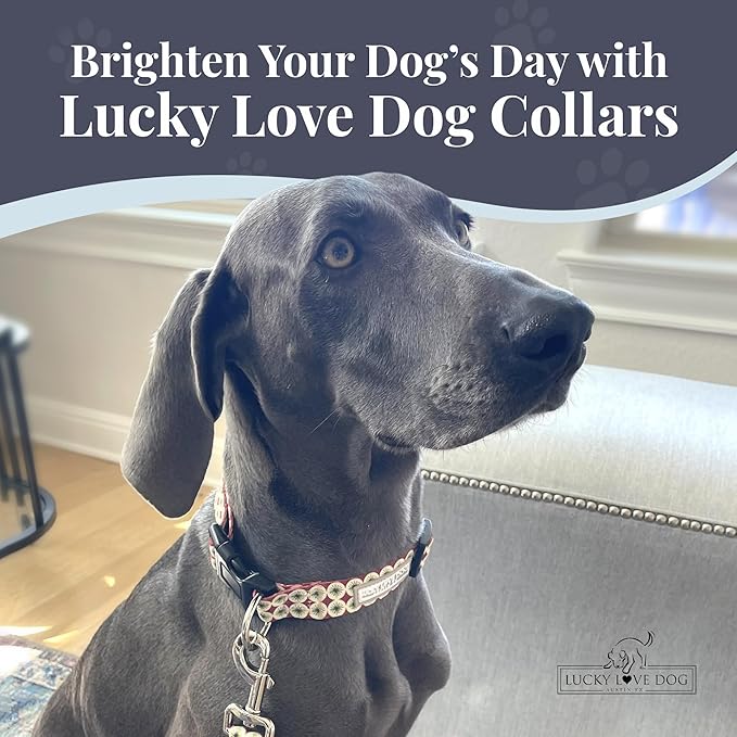 Lucky Love Dog - Easy Click Buckle Dog Collar with Leash Set Combo, Durable & Comfortable Collar for Male & Female Dogs, Pet Collar for Small to Large Dogs, Secure Fit - Pongo Combo, Small