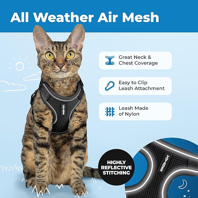 Voyager Escape Proof Cat Harness and Leash Set with Reflective Stitching, Neoprene Handle 5ft - Supports Small, Medium and Large Cats, Kittens for Walking by Best Pet Supplies - Black, XS