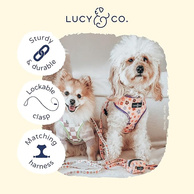 Lucy & Co. Designer Dog Leash - Pet Accessories - Thick Dog Leash - Padded Handle for Comfort - Purple with Green Floral - 5 Foot (Purple Coral Floral, Large)