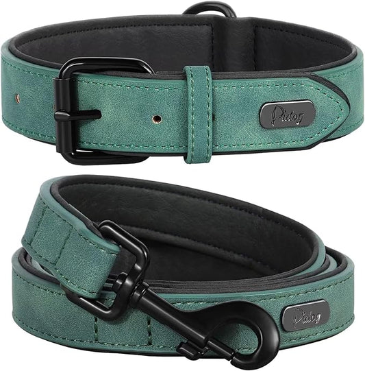 Didog Soft Padded Leather Dog Collar and Leash Set, Heavy Duty Dog Lead and Collar Set with Metal Buckle, Breathable Pet Collars with 4FT Leather Leash for Small Medium Dogs, Green, M