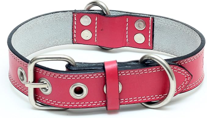 Premium Leather Collars with Stainless Steel Buckles (18"-21", Pink)
