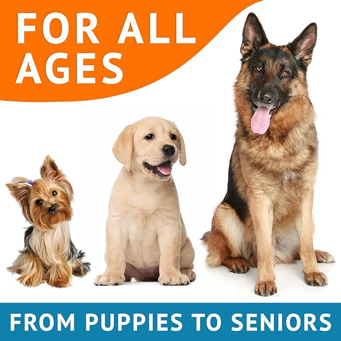 Omega 3 Fish Oil for Dogs (180Ct) - Skin&Coat Chews - Dry & Itchy Skin Relief + Allergy Support - Shiny Coat - EPA&DHA Fatty Acids - Salmon Oil Chews Promotes Heart