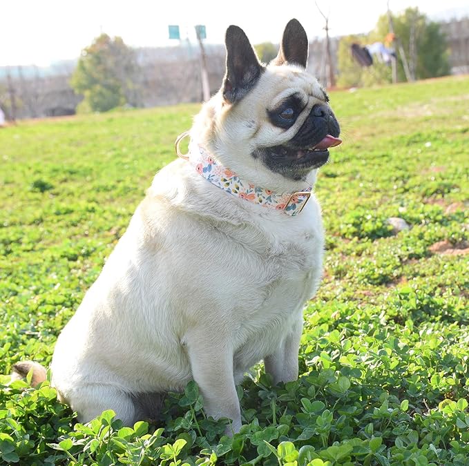 Metal Buckle Dog Collar, Durable Adjustable Dog Collar Soft for Small Medium Large Dogs (M(13-18in), Flower3)