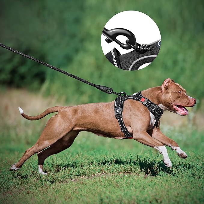 PoyPet Dog Harness and Leash Combo, Escape Proof No Pull Vest Harness, with 5 Feet Leash, Reflective Adjustable Soft Padded Pet Harness with Handle for Small to Large Dogs(Black,L)