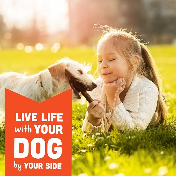 Cloud Star Corp, Wag More Bark Less Soft & Chewy Grain Free Peanut Butter & Apples Dog Treats