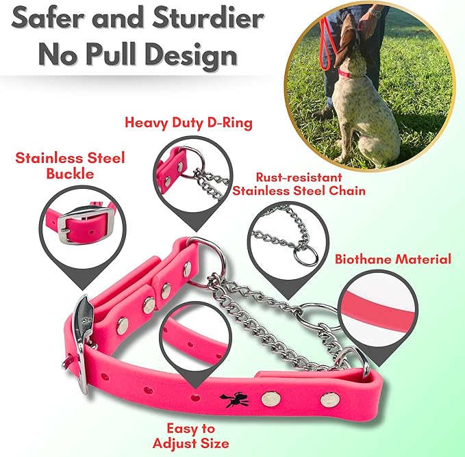 Martingale Collar for Dogs, Biothane, Stainless Steel Hardware, No Pull, Made in The USA, Professional Grade, Medium, Pink