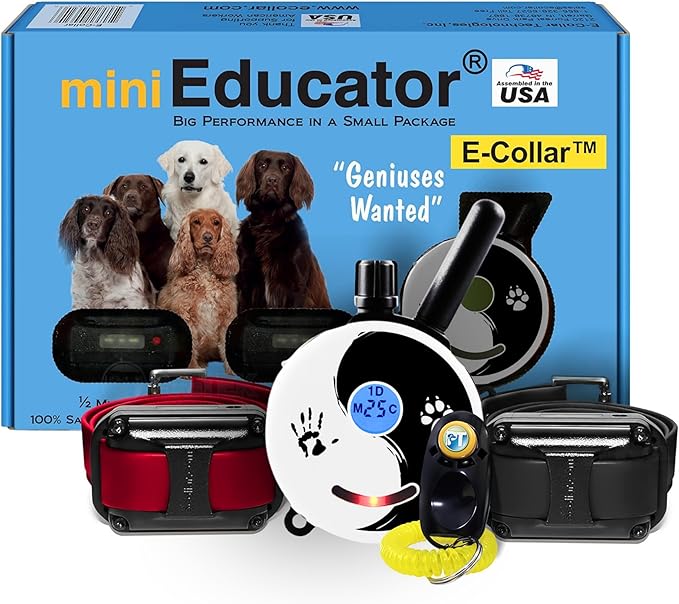 Mini Educator ET-302 Zen - 1/2 Mile E-Collar Dog Training Collar with Remote - Static, Vibration & Tone Electric Training for Small, Medium & Large Dogs by E-Collar Technologies
