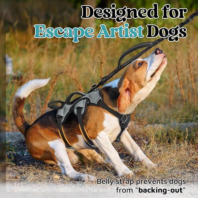 rabbitgoo Escape Proof Dog Harness, Soft Padded Full Body Pet Harness, Reflective Adjustable No Pull Vest with Lift Handle and Leash Clip for Large Dogs Walking Hiking Training, S, Grey