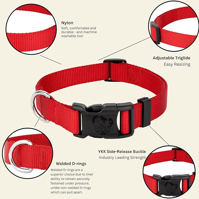 Country Brook Petz - American-Made Dog Collar for Large, Medium, and Small Dogs and Puppies - Deluxe Heavy Duty Nylon in 33 Dazzling Colors (Medium, 3/4 Inch Wide, Bright Red)