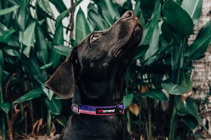 Tuff Pupper Heavy Duty Dog Collar | Reflective with Aluminum D-Ring Leash Clip | Separate Dog ID Tag Attachment | Easy Sizing for All Breeds