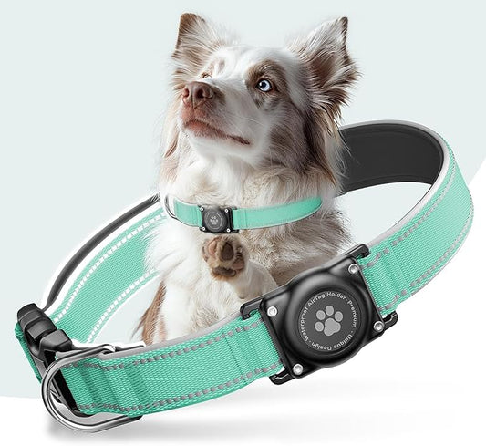 Airtag Dog Collar - 100% Waterproof Air tag Dog Collar Holder for Apple AirTag, Reflective, Soft Padded, Everlasting, GPS Dog Collar for Small Medium Large Dogs (Teal, S)