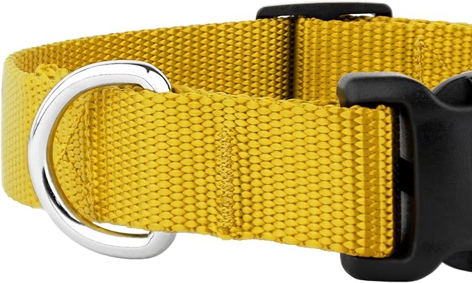 Country Brook Petz - American-Made Dog Collar for Large, Medium, and Small Dogs and Puppies - Deluxe Heavy Duty Nylon in 33 Dazzling Colors (Extra Large, 1 Inch Wide, Gold)