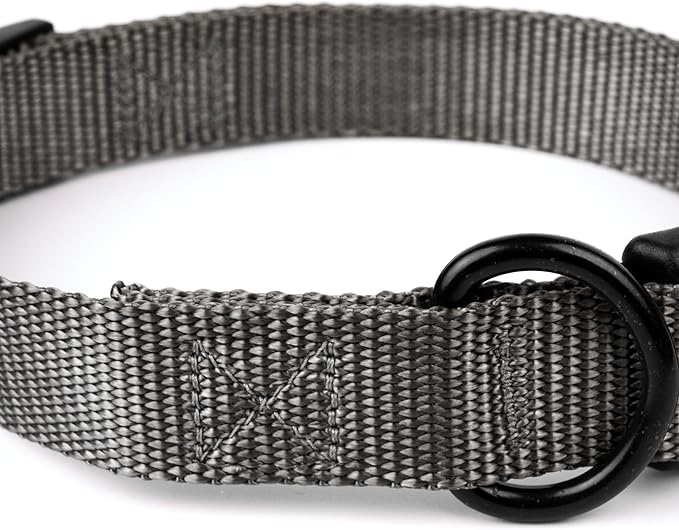 Country Brook Petz - American-Made Dog Collar for Large, Medium, and Small Dogs and Puppies - Deluxe Heavy Duty Nylon in 33 Dazzling Colors (Large, 1 Inch Wide, Charcoal)