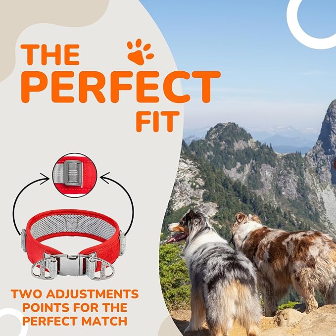 Durable 2-inch Adjustable Dog Collar for Medium Dogs – Reflective, Heavy-Duty Metal Buckle, Comfortable Mesh Lining, Includes Patch and AirTag Holder (Red, Medium: Fit 15" - 18" Neck)