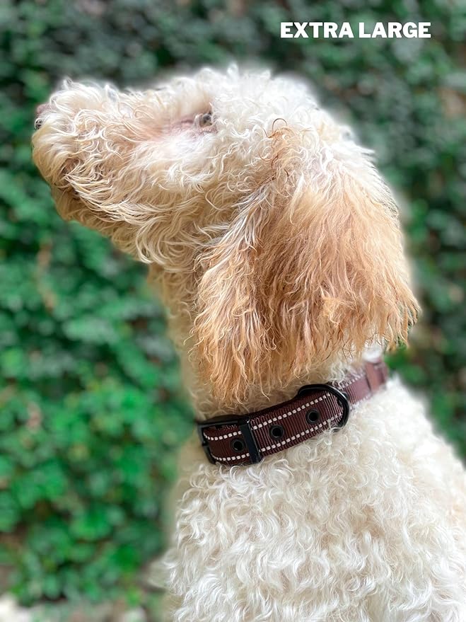 Heavy Duty Dog Collar with Handle | Ballistic Nylon Heavy Duty Collar | Padded Reflective Dog Collar with Adjustable Stainless Steel Hardware | Convenient Sizing for All Breeds X-Large (19-23" Neck)
