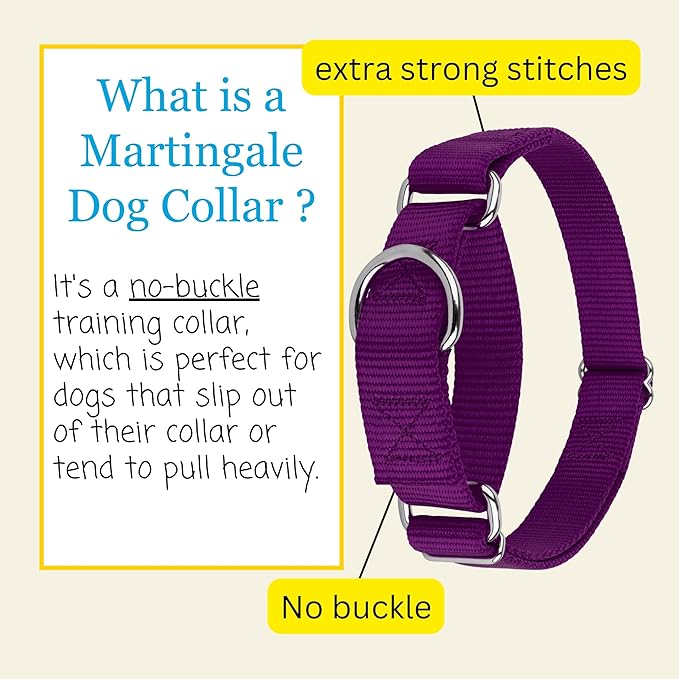 Country Brook Petz Martingale Dog Collar - Heavy-Duty Training Collar with No Buckle - Service Dog Collar for All Pups - Vibrant, Colorful Collection (Purple, 3/8 Inch, 3XS)