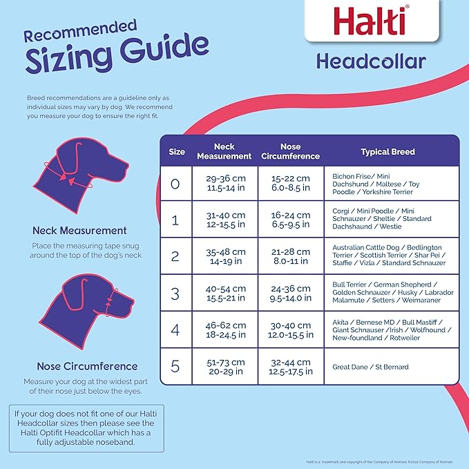 HALTI Headcollar - to Stop Your Dog Pulling on The Leash. Adjustable, Reflective and Lightweight, with Padded Nose Band. Dog Training Anti-Pull Collar for Small Dogs (Size 1, Desert Sand)