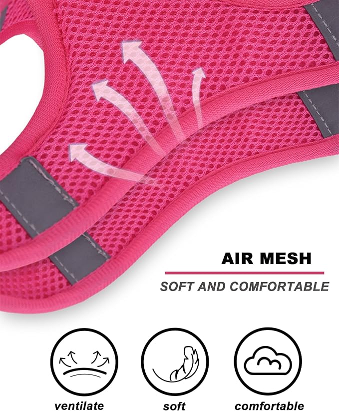 Light Purple Flower Pattern Dog Harness and Leash Set,No Escape Puppy Harnesses for Training Walking,Breathable Adjustable Puppy Vest for Small Medium Dogs, Cats (Light Purple, XXS)