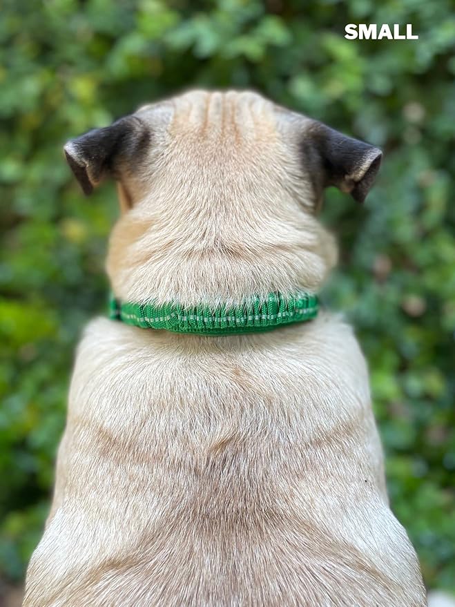 Heavy Duty Dog Collar with Handle | Ballistic Nylon Heavy Duty Collar | Padded Reflective Dog Collar with Adjustable Stainless Steel Hardware | Convenient Sizing for All Breeds