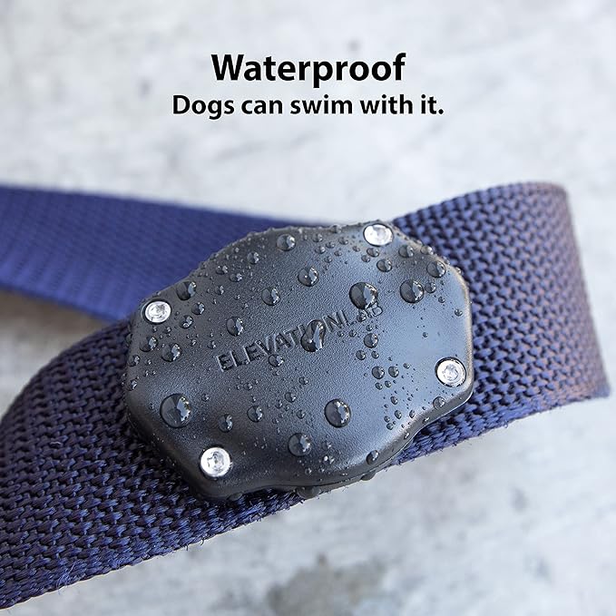 Elevation Lab TagVault AirTag Dog Collar Mount (Pack of 4) - IP69 Waterproof, Doesn't Dangle, Fits All Width Collars, Elevation Lab - Black