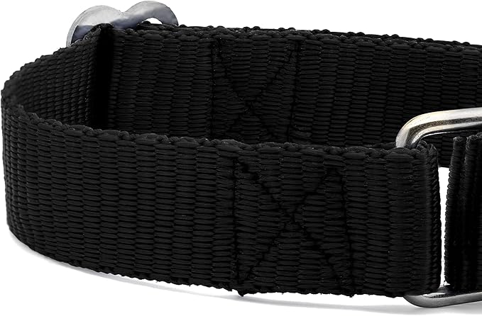 Martingale Dog Collar - Heavyduty Nylon Dog Collar with No Buckle Dog Training Collars for Medium Dogs (Black, XL)