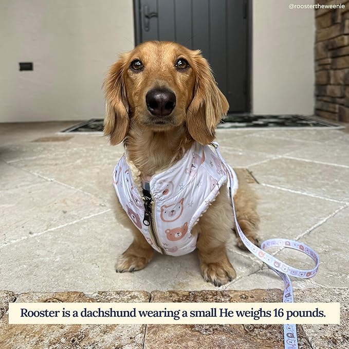 Lucy & Co. 5 Foot Designer Dog Leash for Small, Medium or Big Dogs or Puppies Puppy – Pet Accessories & Supplies –(Unbearably Cute, Small)