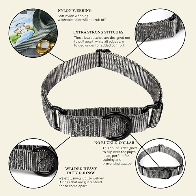 Country Brook Petz Martingale Dog Collar - Heavy-Duty Training Collar with No Buckle - Service Dog Collar for All Pups - Vibrant, Colorful Collection (Charcoal, 3/4 Inch, Small)