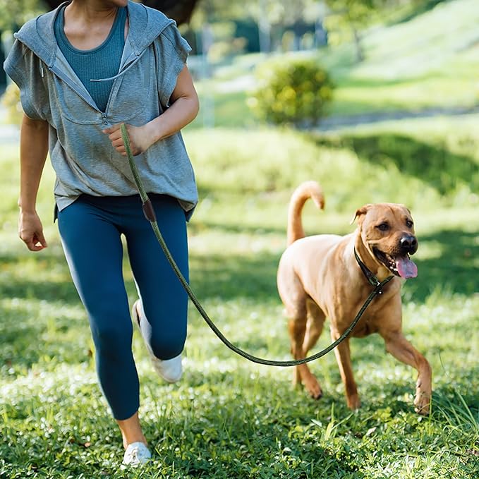 TwoEar Slip Leads for Dogs, 1/2" x 6FT Dog Training Leash with Highly Reflective Threads, Heavy Duty Strong Dog Leash Rope for Small Medium and Large Dogs (Green)