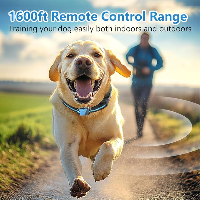 Shock Collar for Dogs, Dog Training Collar with Remote Control for 2 Dogs, 3 Training Modes with Beep, Vibration and Satic, Waterproof, Rechargeable E Collar for Large Medium Small