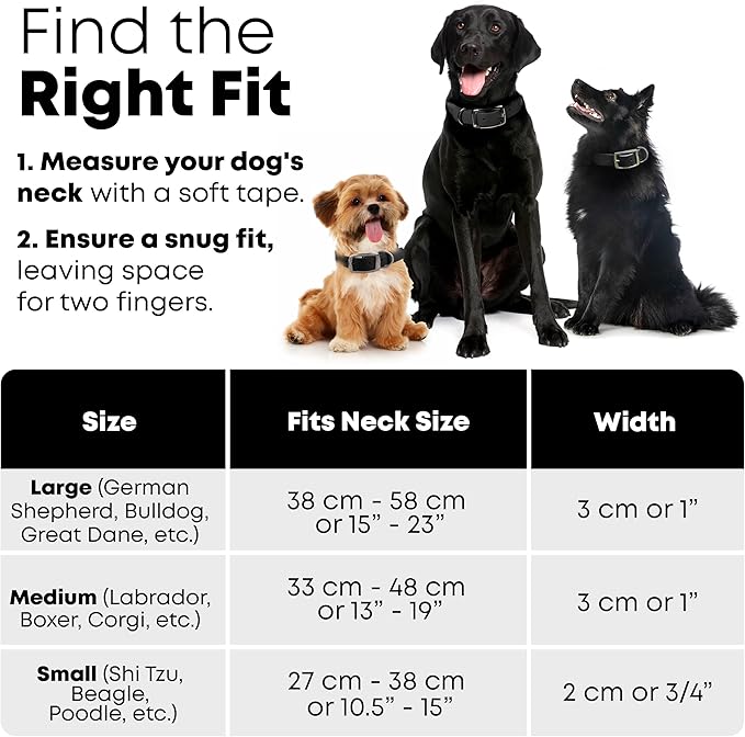 Regal Dog Products Small Black Heavy Duty Reflective Dog Collar with Durable Metal Buckle and D Ring Adjustable, Chew Proof & Waterproof Strong Small Dog Collar | Other Sizes for Medium & Large Dogs