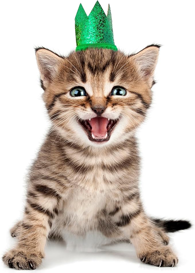 PET SHOW 10 Pack Mini Small Dog Crown Hat Dog Birthday Party Hats Adjustable Headband Hats Cat Rabbit Hats for Holiday Wedding Puppies Kittens Costume Accessories