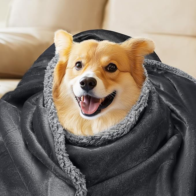 Waterproof Pet Blanket, Liquid Pee Proof Dog Blanket for Sofa Bed Couch, Reversible Sherpa Fleece Furniture Protector Cover for Small Medium Large Dogs Cats, Dark Gray Small(40" x 28")