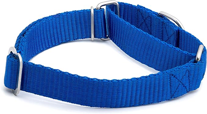 Martingale Dog Collar - Heavyduty Nylon Dog Collar with No Buckle Dog Training Collars for Medium Dogs (Blue, Large)
