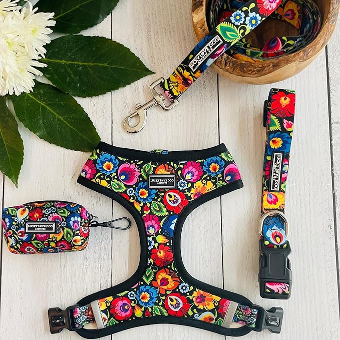 Lucky Love Dog - Adjustable Dog Collar with Easy Click Buckle for Small to Large Ones, Durable, & Comfortable for Male & Female Dogs, Pet Collar for Puppies & Adult Dogs - Blackbird, Extra Large