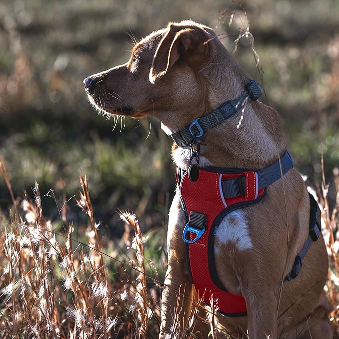 Embark Adventure Dog Harness, Reflective Trim No Pull Dog Harness for Large Dogs - Military Grade Nylon, Front Clip with Gel Lined Handle.