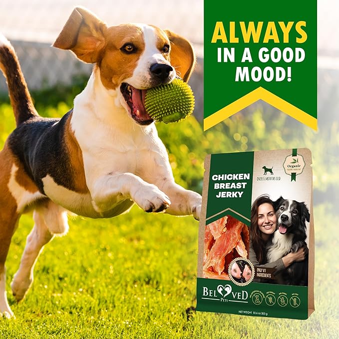 Beloved Pets Dog Treats Chicken Jerky 11 OZ - All Natural and Healthy Snacks for Large & Small Dogs - Grain Free and High Protein Meat - Human Grade Pet Chews