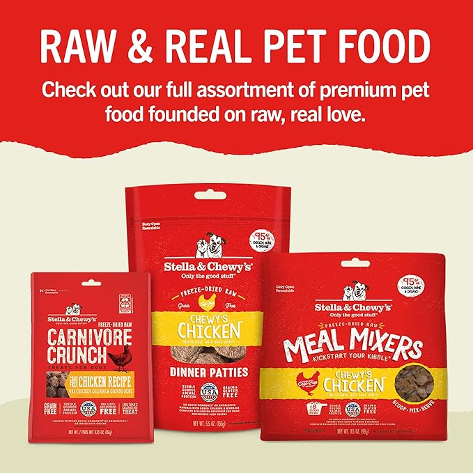 Stella & Chewy's Dental Delights with Freeze-Dried Chicken - Small Dental Treats for Dogs, Single Serve